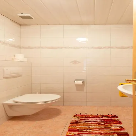 Appartement In Near Slopes