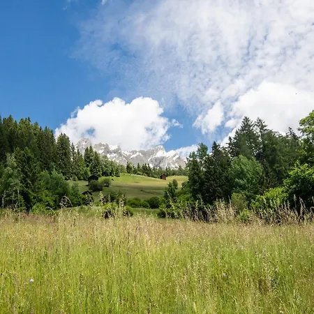 In Near Slopes *