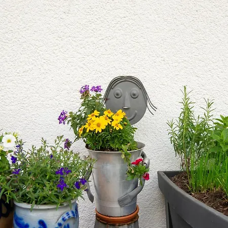 Appartement In Near Slopes *